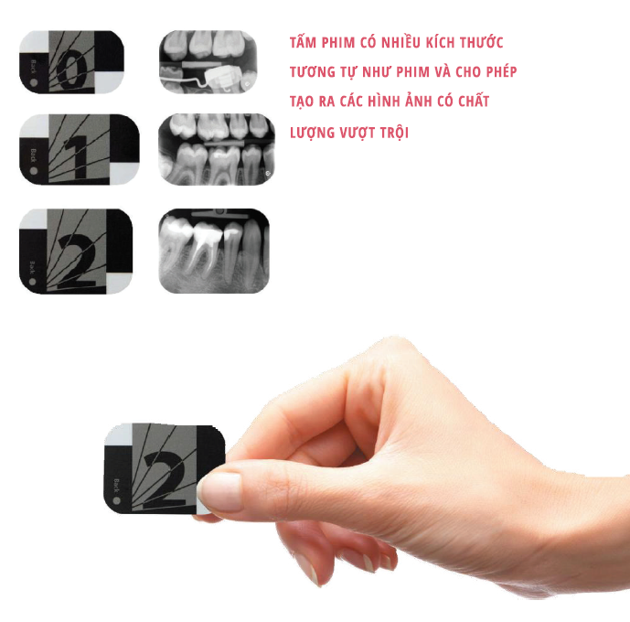 SnapCrab_NoName_2020-2-11_11-46-27_No-00.png